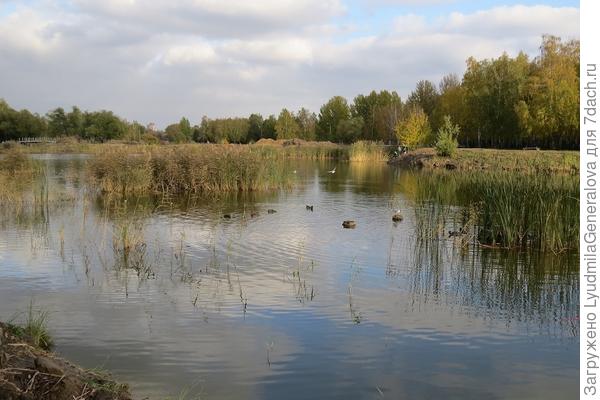 Водоём в парке - это здорово!