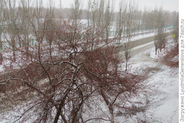 Небольшой  снежный покров.