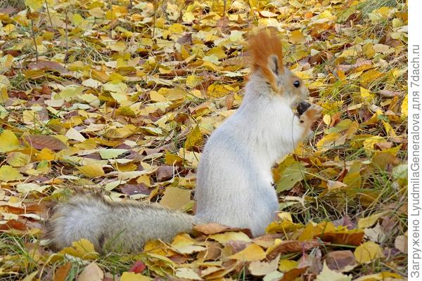 К зиме готова.