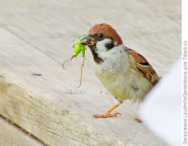 Всё деткам-деткам..