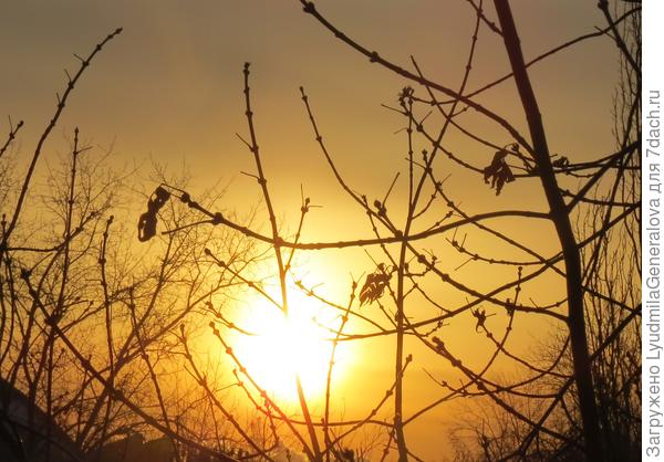 Солнечное утро. 22.11.2017