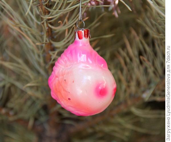 Эта миленькая рыбка, тоже "старушка". Мы её купили в Киеве в начале 80-х годов прошлого века.