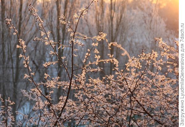 Посмотрела  у Софии Лебедевой фотоотчёт. Зелёная травка - на Новый год! Думаю  - покажу Омск. Может кому-то интересно будет посмотреть сибирскую зиму.