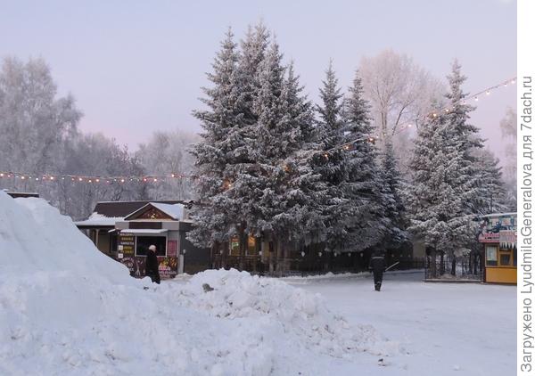 А это в парке, всё в морозном тумане. Снег (слева) - для горки.