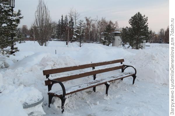 Только что извлекли из снежного плена...