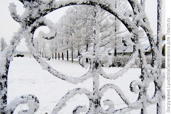 И заборы все расписные!