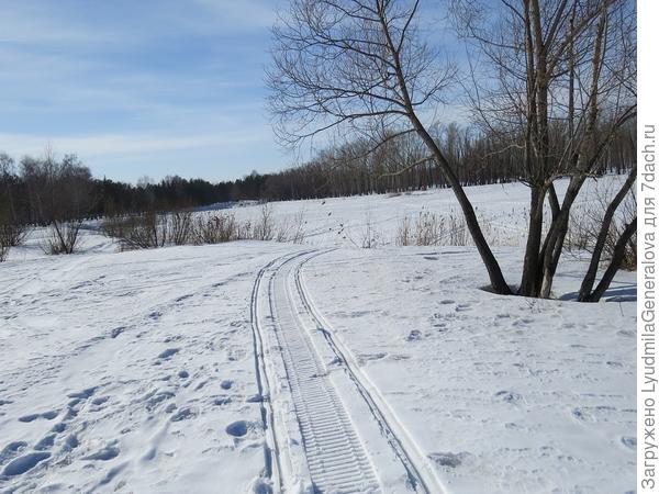 Похож на &quot;твой&quot;? Это мы в парке катаемся иногда.