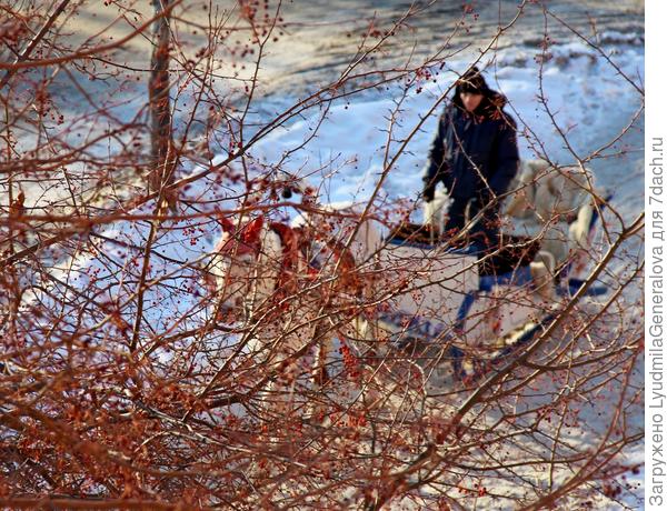 Вот с окна сфоткала.