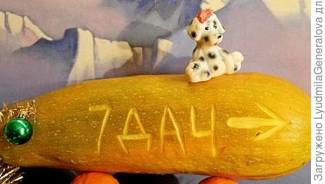 И собачку на сайт доставит