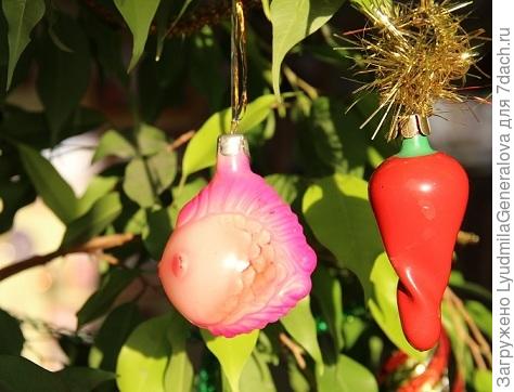 Рыбка и перчик.