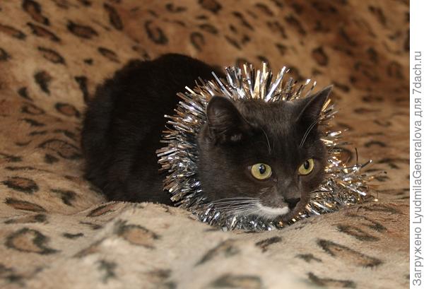 &quot;Мозговой штурм&quot;