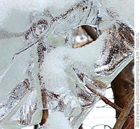 Ой, не стойте слишком близко. Я же ледяная киска! Если кто-то приласкает, тут же мой портрет растает!