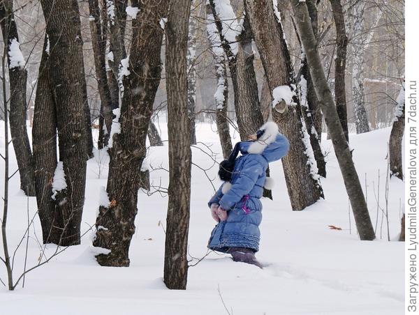 Детей не пугает глубина снежного покрова. Они прекрасно себя чувствуют в этой среде.  Ведь в лесу столько интресного: и белки, и дятлы, а уж сколько следов....