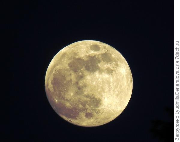 Штатива нет, но удалось поймать более-менее чёткий кадр. Вот такой была Луна в первый вечер весны.  Фотография не весенняя, конечно, но может и на Луне тоже наступила весна.  15 лунные сутки.  Круглолицая наша спутница.