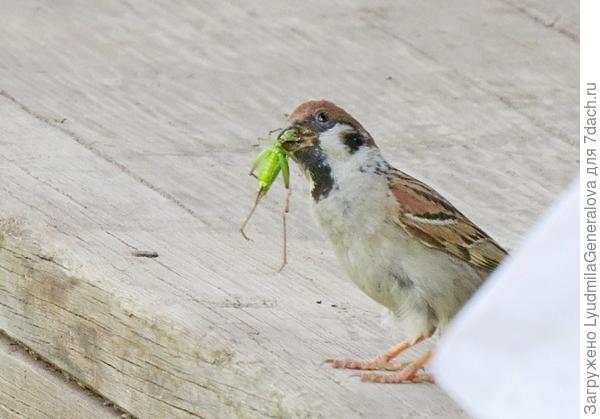 ыглядывает, не ушла ли я.