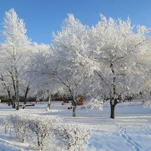 А у нас это явление частое
