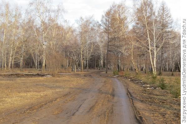 Остатки снега