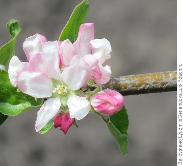 Бодрости, радости, удовлетворения от каждого прожитого дня!