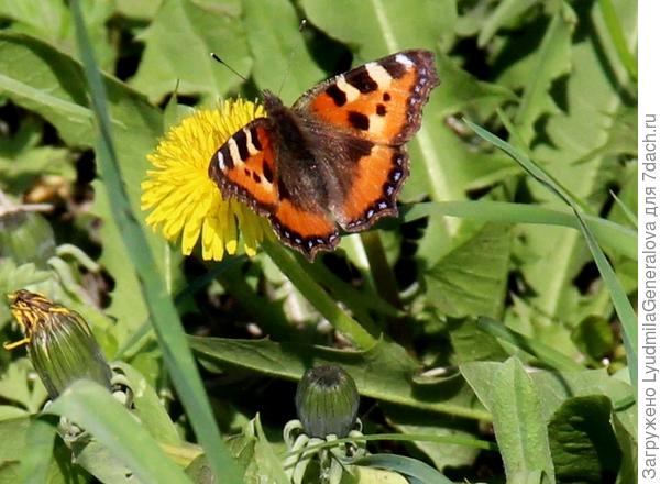 Подобное притягивает подобное.