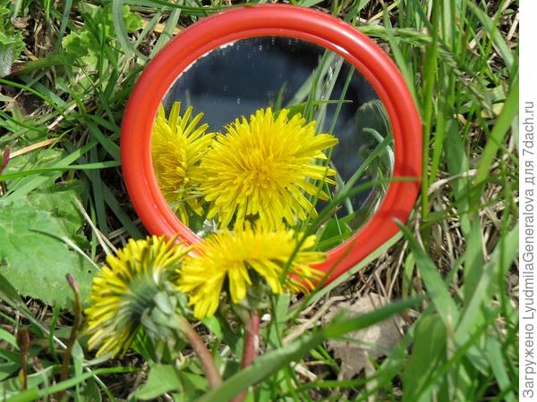 Подвинься... Я тоже хочу посмотреться в зеркальце.