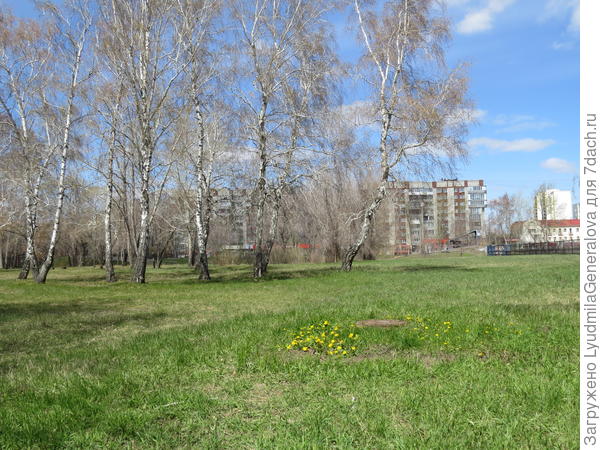 &amp;quot;Озеленяемся&amp;quot;