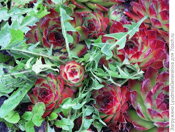 Решил имидж сменить?!...