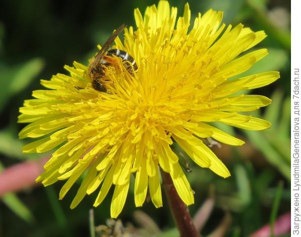 Что-то поза очень знакома....