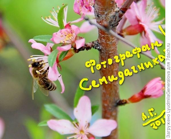 Чтоб чего-нибудь добиться, надо славно потрудиться!