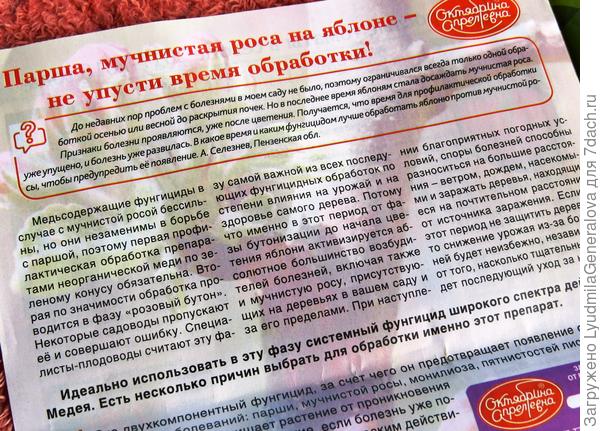 Страница из журнала "ГАВРИШ-дача"