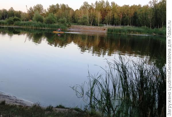 Пруд в городском парке