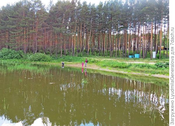 Реликтовым соснам и зеркало соответствующее нужно