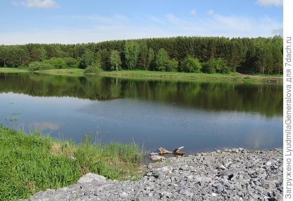 Зелёные чистые берега