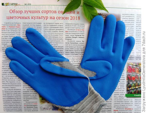 Призовые перчатки и журнал кампании "ГАВРИШ"