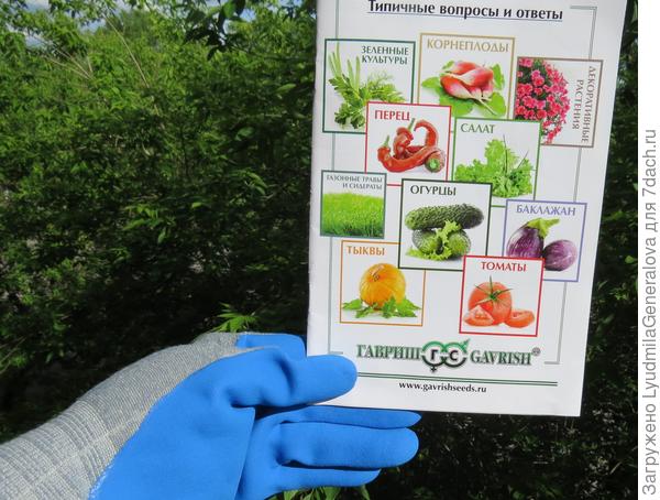 Брошюра вопросов-ответов