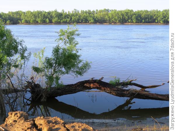Весеннее половодье оставляет после себя вот такие &quot;шлакбаумы&quot;