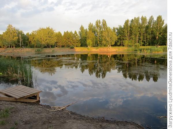 Тихий летний вечер.