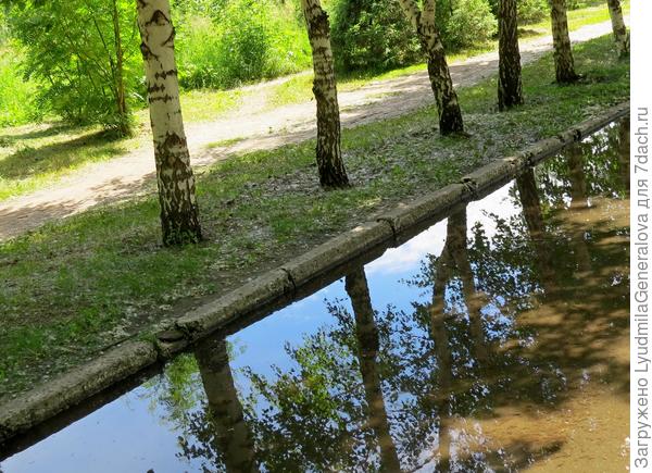 И заключительный кадрик.  Набросок симметрии. Тротуарный бордюр разделяет реальность и отражение.