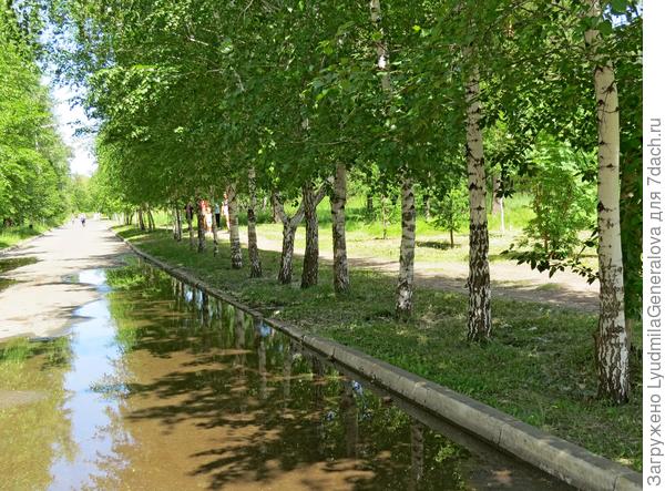 Лужи после ночного дождя...