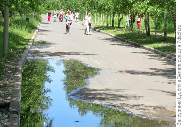 Вброд огромную лужу не преодолеть, поэтому приходится идти вдоль дороги...