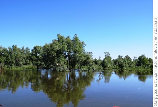 Конец июня. Вода убывает.