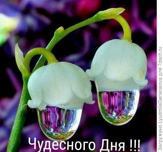 Всего самого хорошего!!