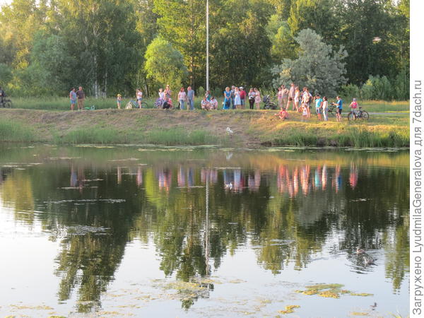 Все наблюдают, как лебедь чистит пёрышки