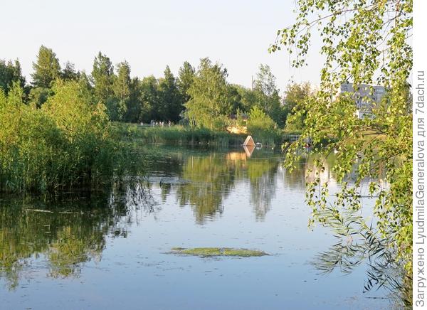 Летние долгие дни