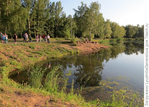 В жаркие дни водоёмы тянут магнитом