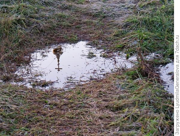 Встретилась лужица мне на пути. Мимо такой невозможно пройти.