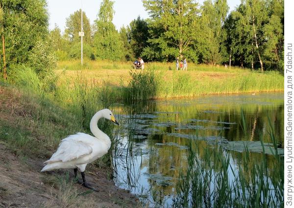 Вот он наш новосёл!