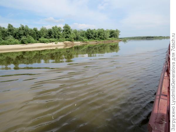 Песчаная коса, зарастает ивняком