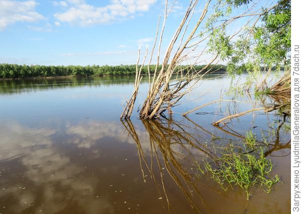 А тут щучьи владения. Вечером без валидола ходить сюда нельзя.