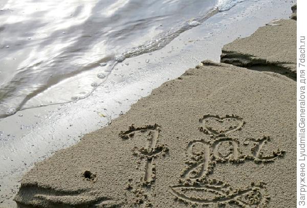 ВЕЩ...ДОК. ВЕРИТЕ?!