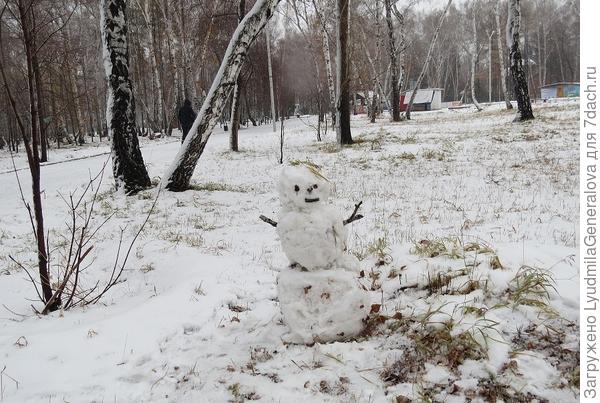 Сразу видно - сделаны мимоходом. С охотки.